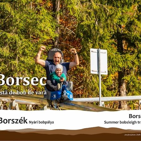 Pensiunea Favorit Ferice Borsec Exterior photo