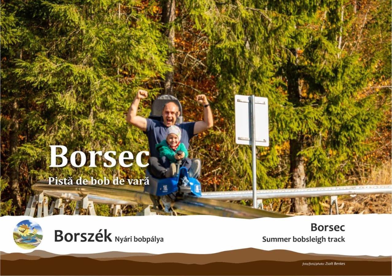 Pensiunea Favorit Ferice Borsec Exterior photo